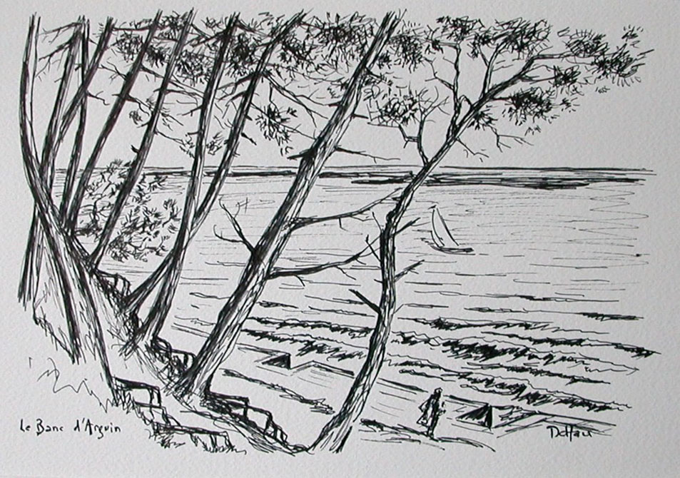 Le banc d’Arguin