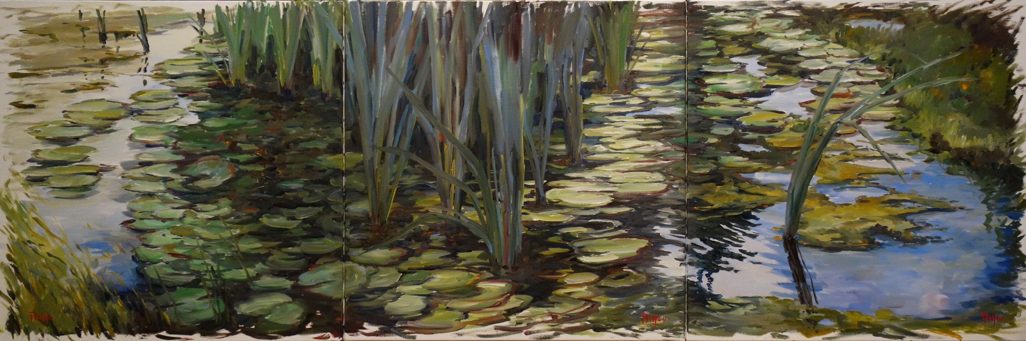 Reflets d'eau