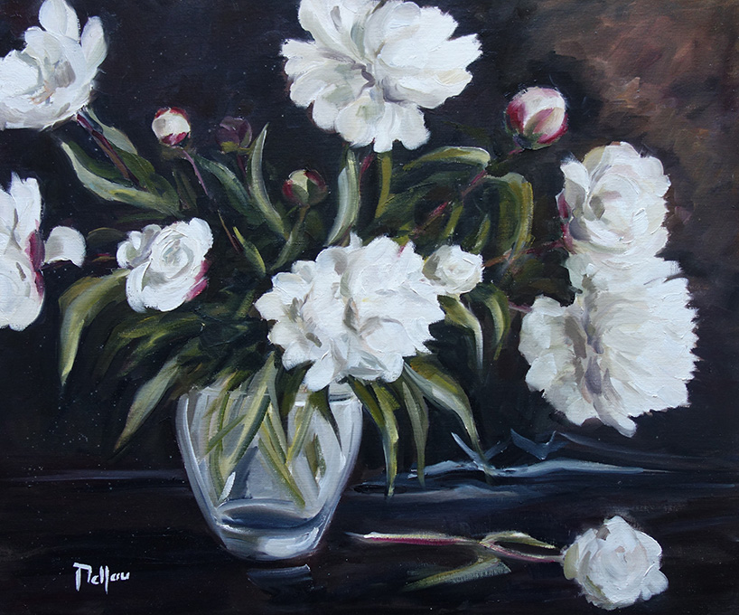 Les pivoines blanches