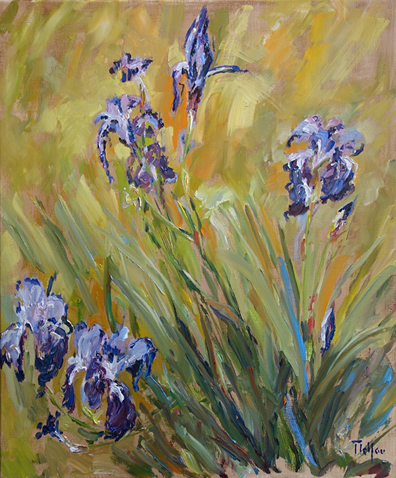 Les iris bleus