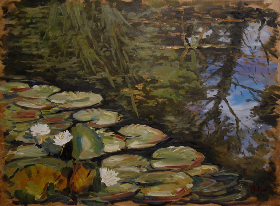 Mare aux reflets