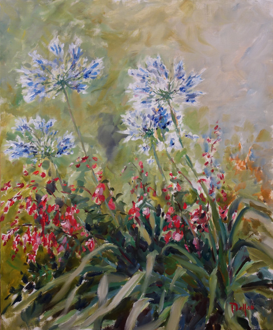 Agapanthes et Fushias