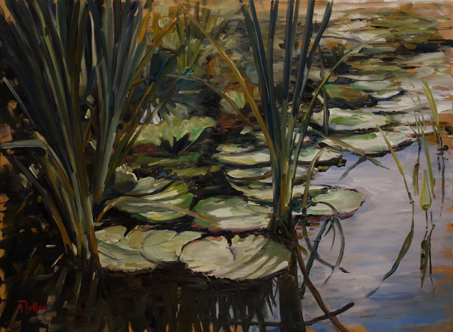Miroir aquatique