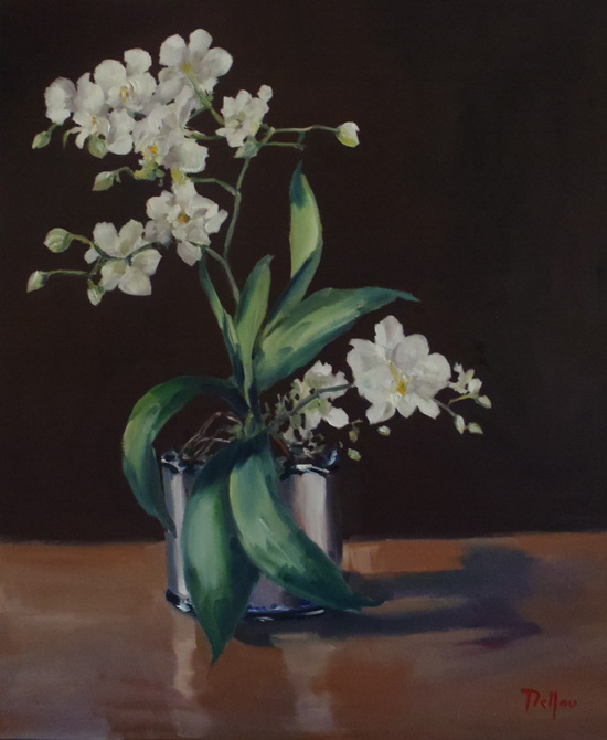 L'orchidée blanche