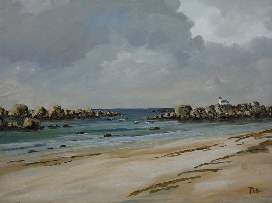 Côte du Finistère Nord   I