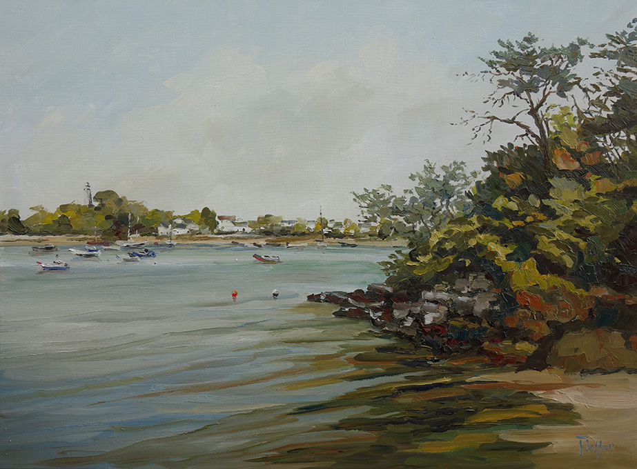 Rivage à Sainte-Marine
