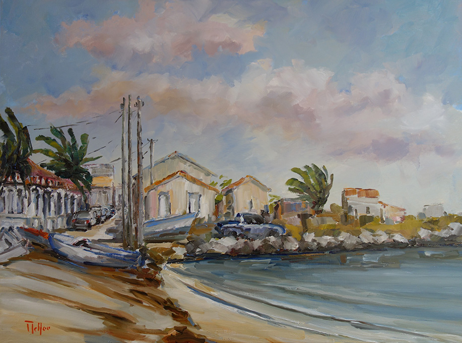 Paysage de guadeloupe