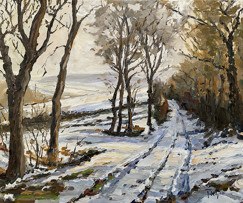 Bois sous la neige