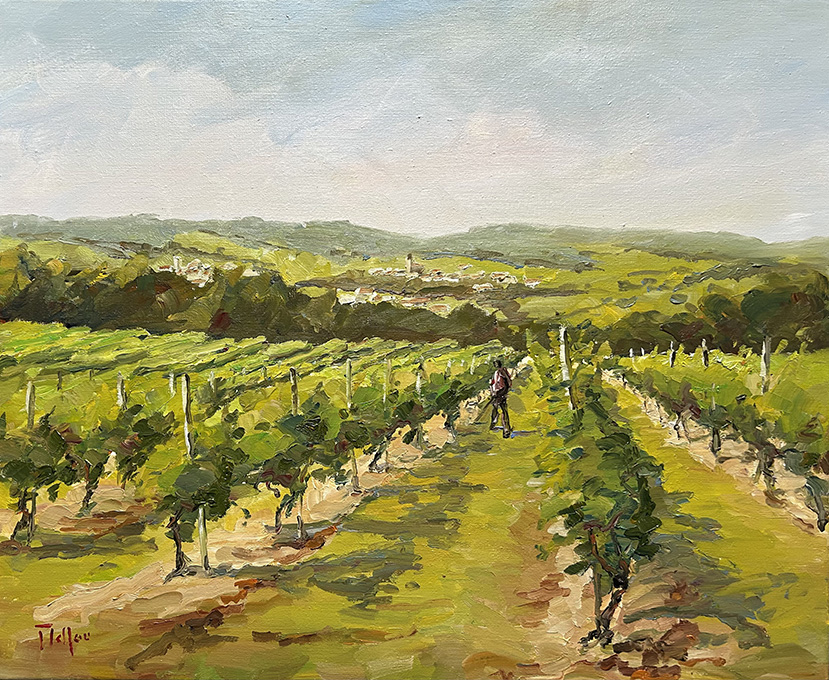 Dans les vignes