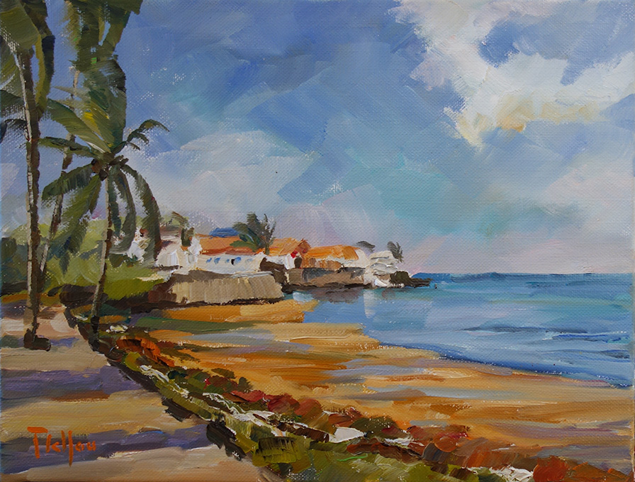 Sous les alizés - Guadeloupe 
