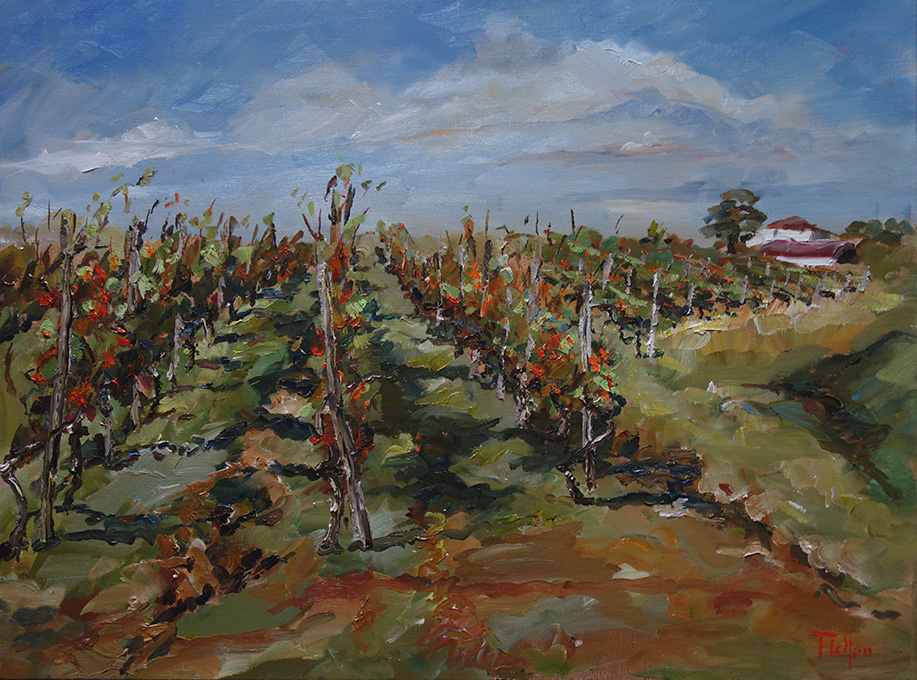 Les vignes du Tursan