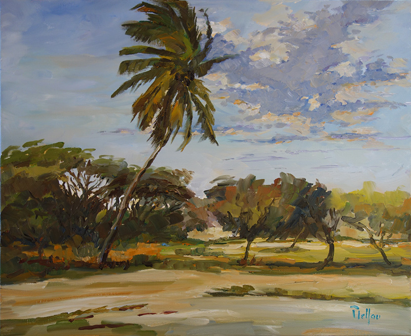 Cocotier -  Guadeloupe
