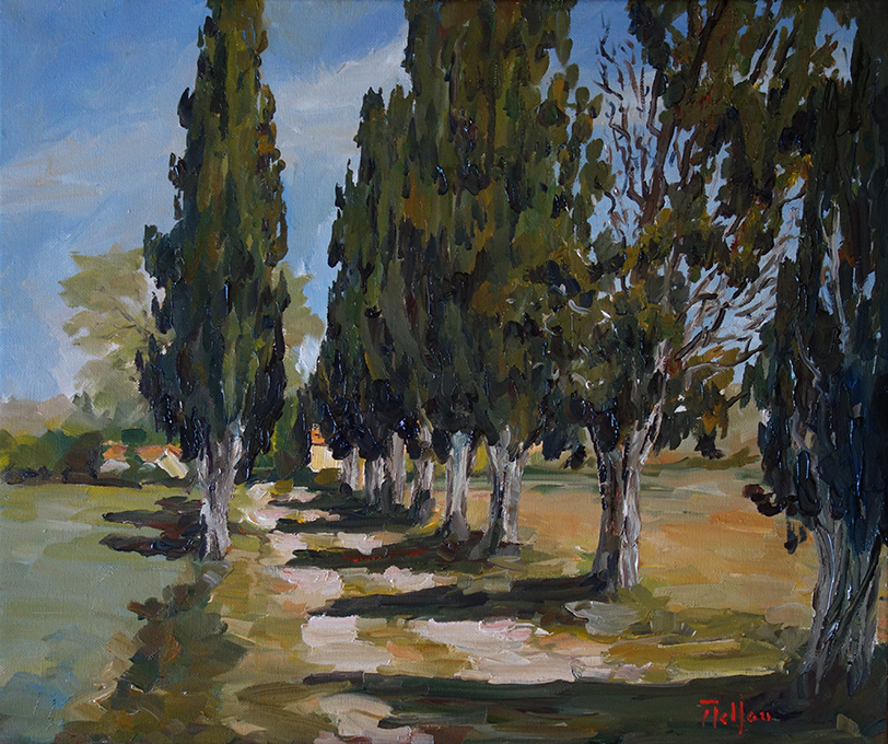 Les cyprès